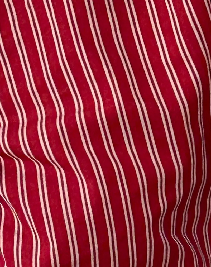 Tarsi Fitted Shirt in Maroon Stripe